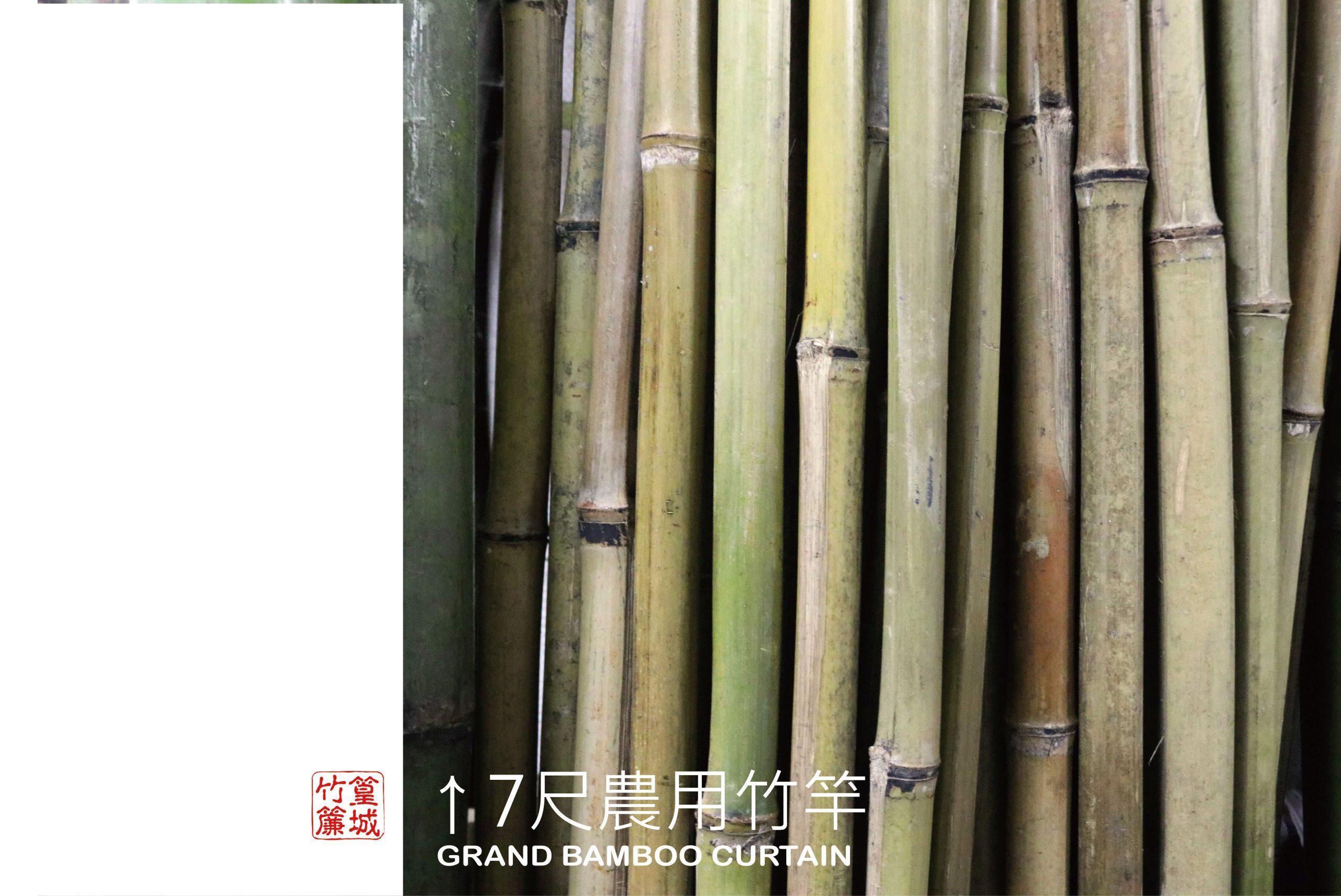 【農業用竹竿/30支/直徑1-3cm/約7尺長】台灣桂竹竹尾-現貨 – 篁城竹簾官方網站